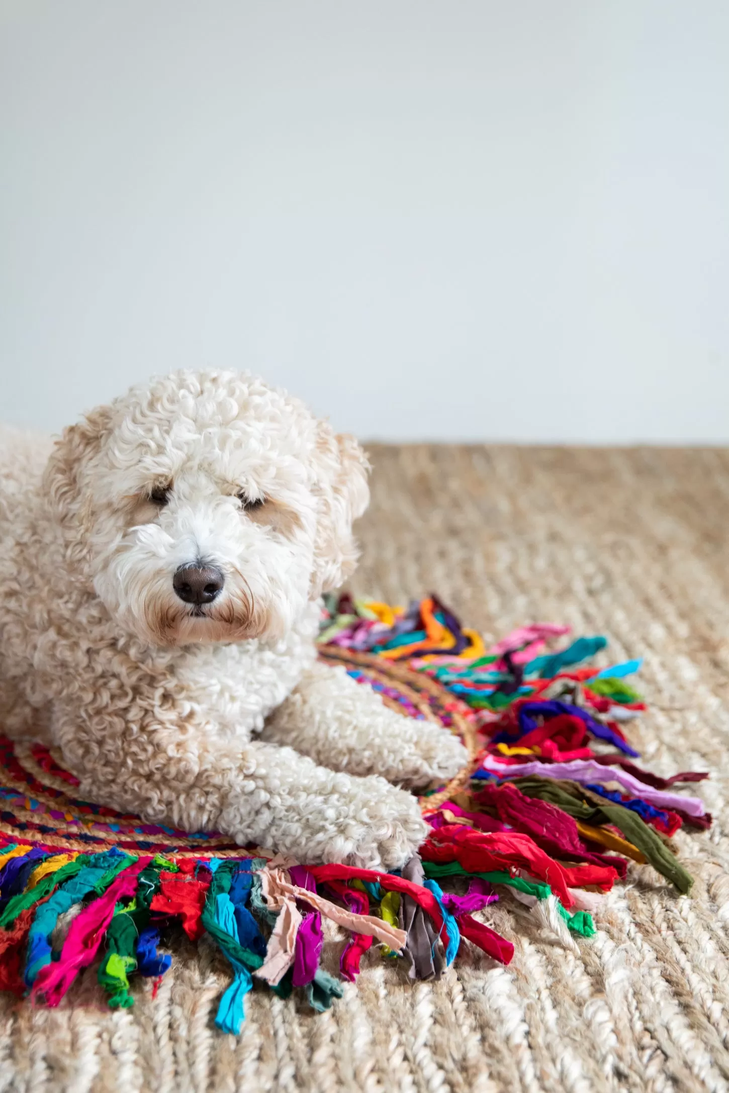 Braided Jute Rag Rug