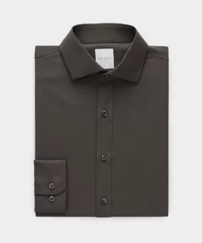 Merino Spread Collar Dress Shirt in Dark Brown