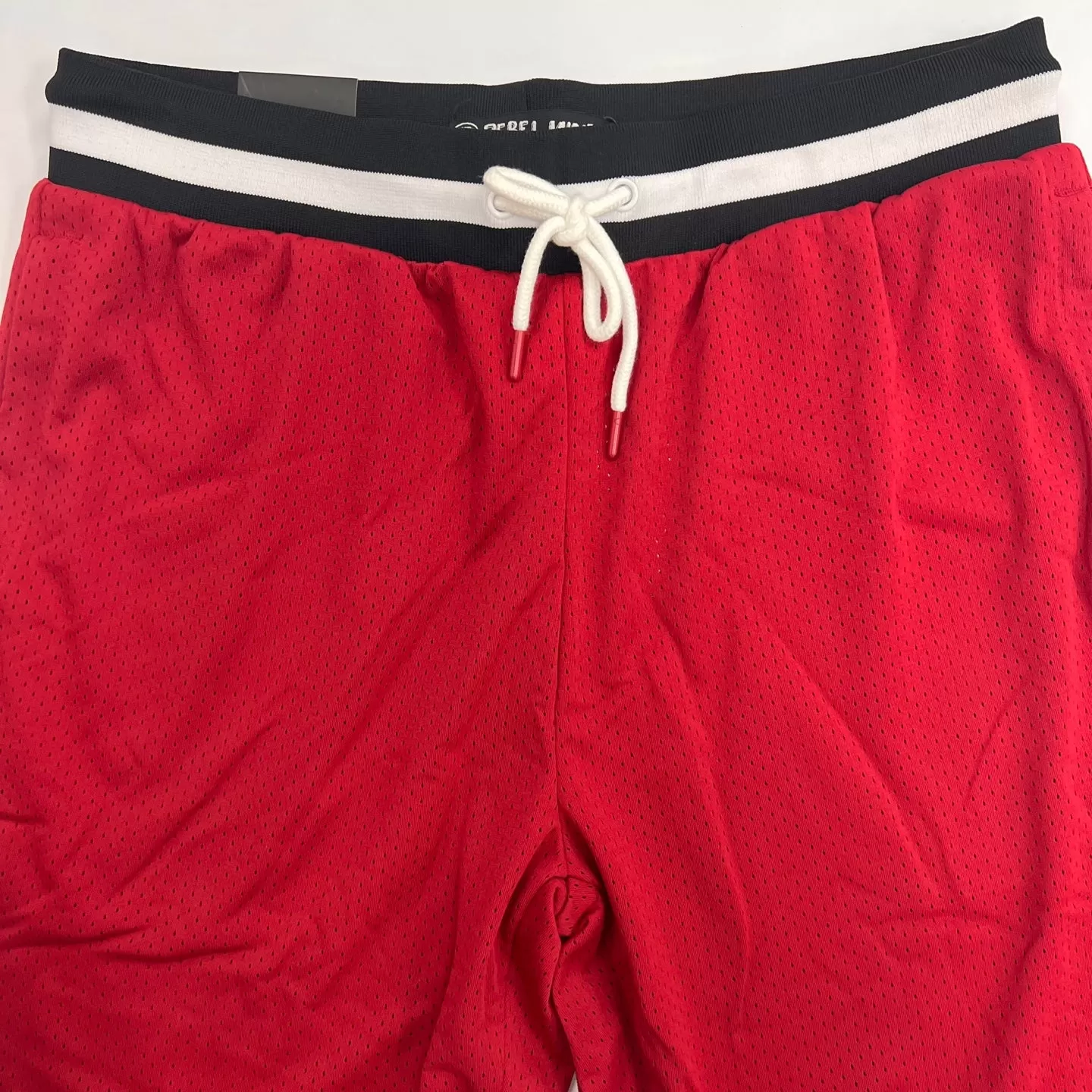 REBEL MINDS Basketball Mesh Shorts