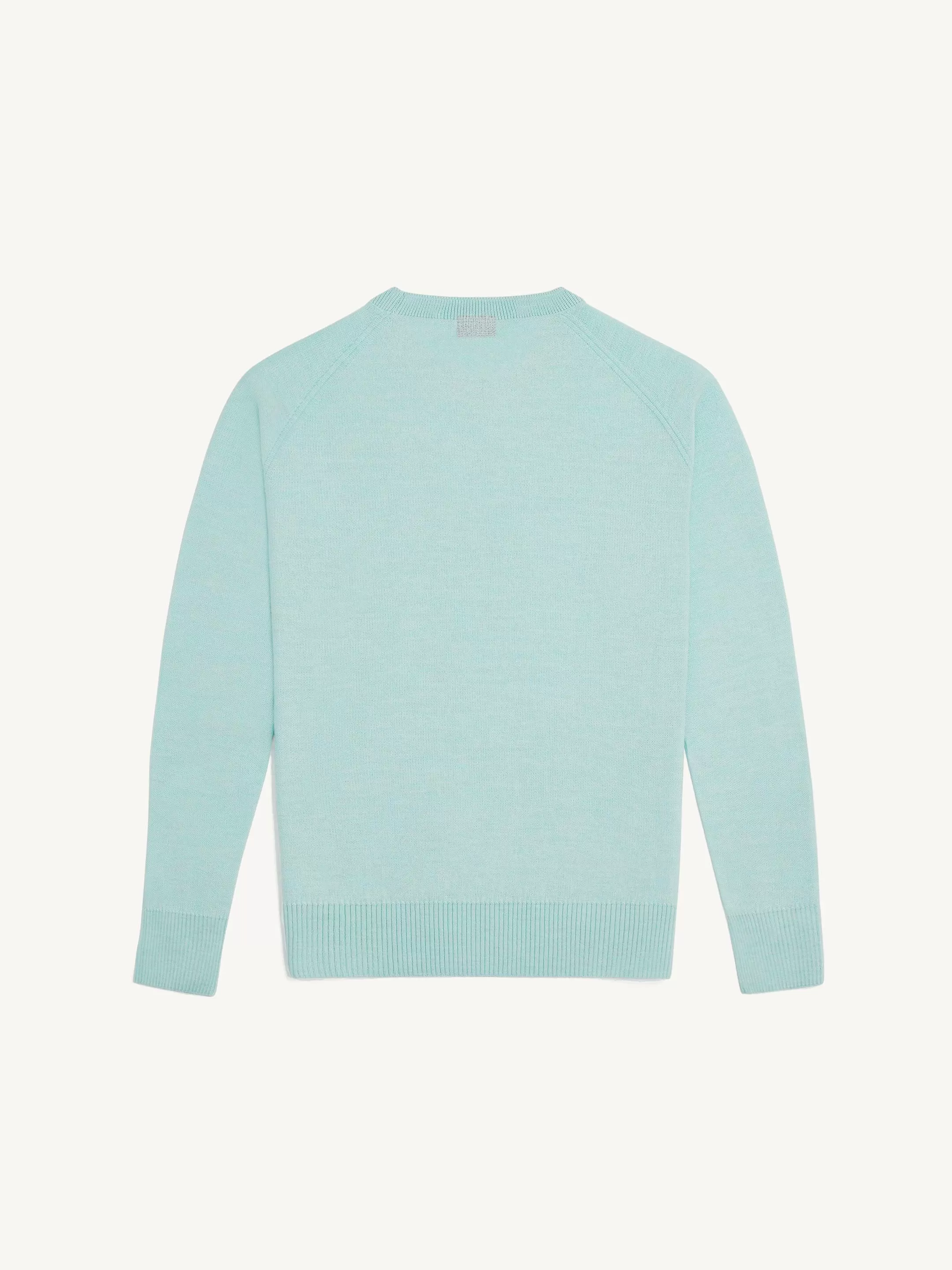 The Crewneck Light - Aqua Green