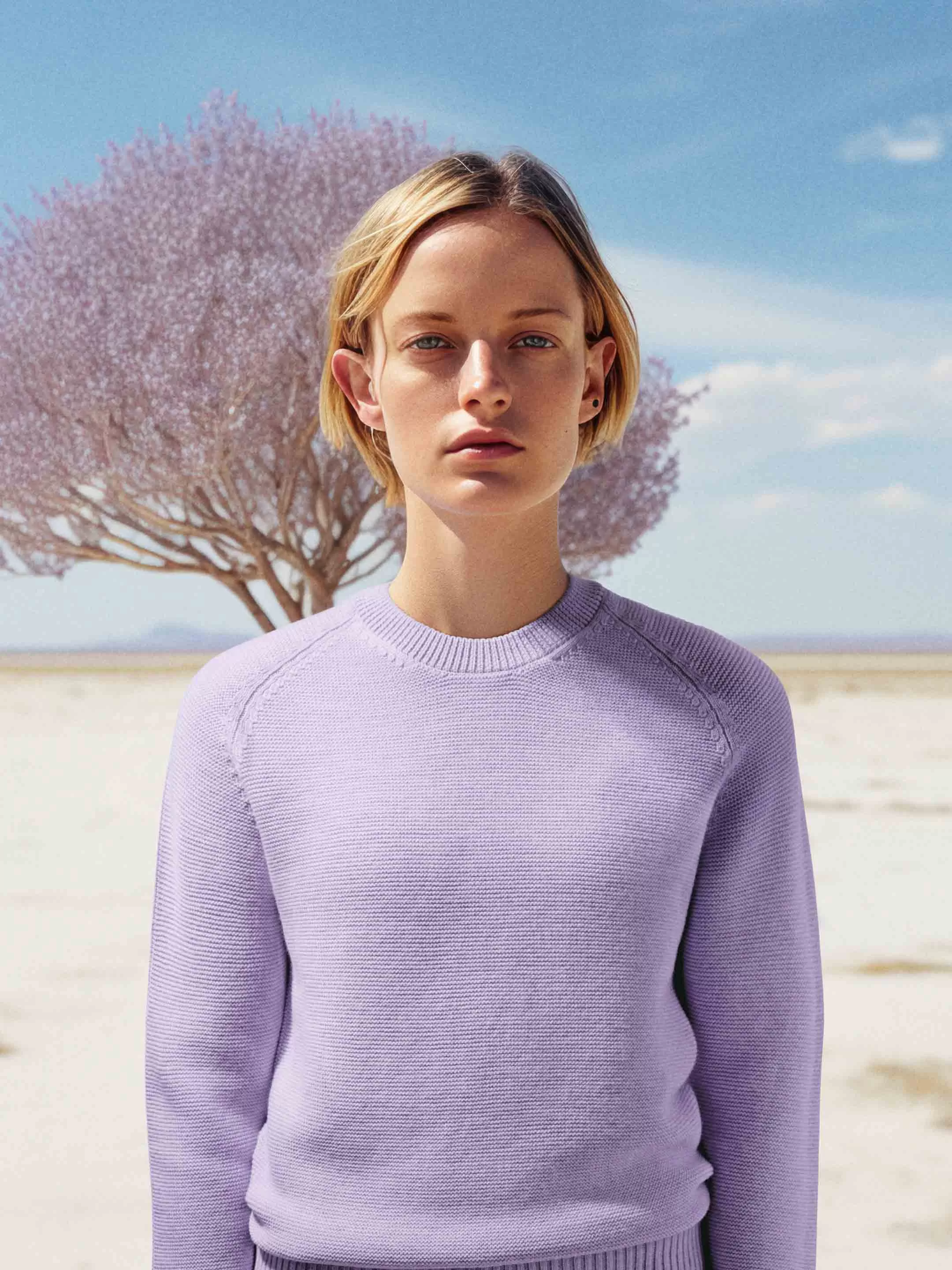 The Crewneck - Lupin Lilac